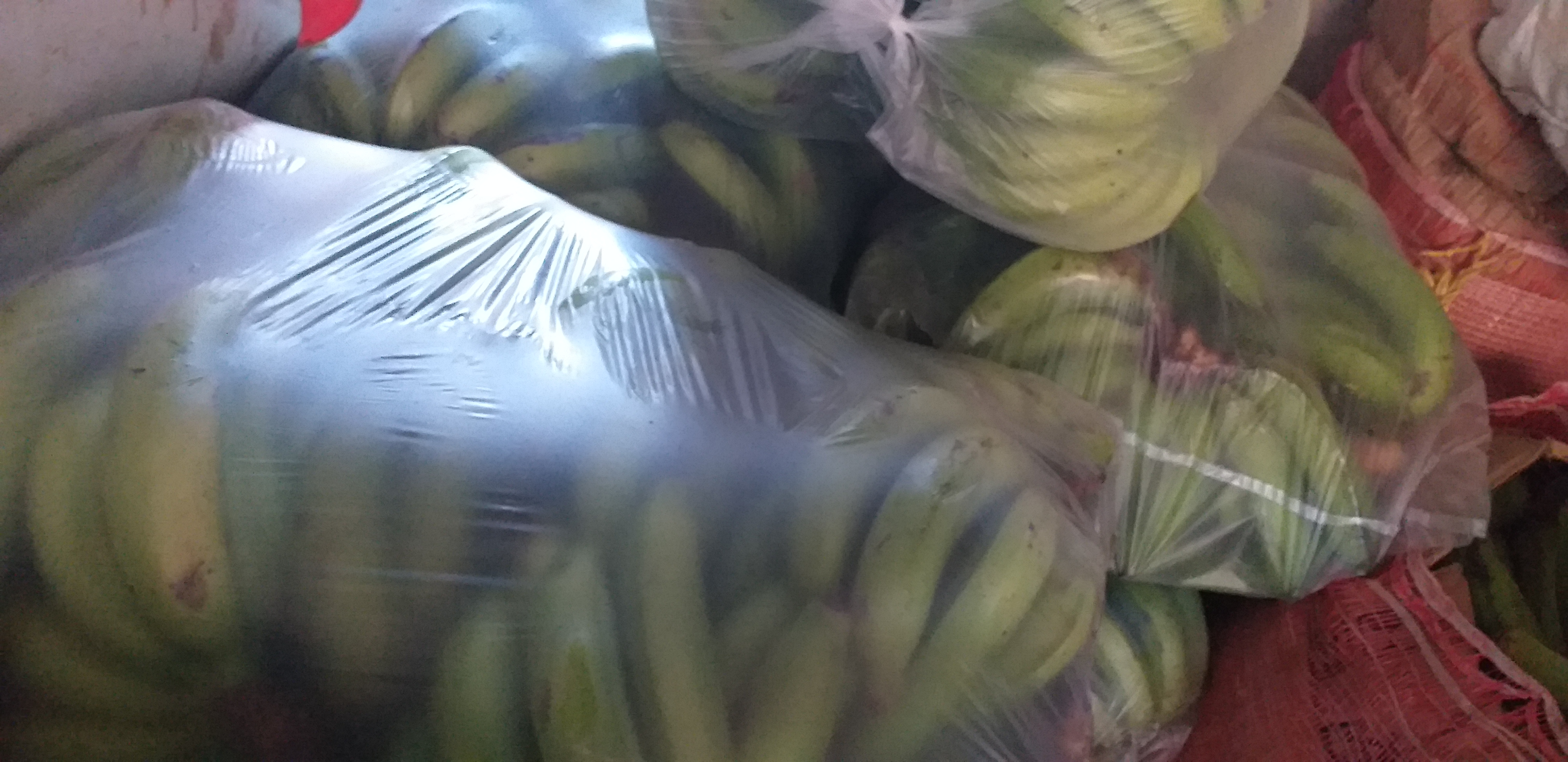 Banano verde