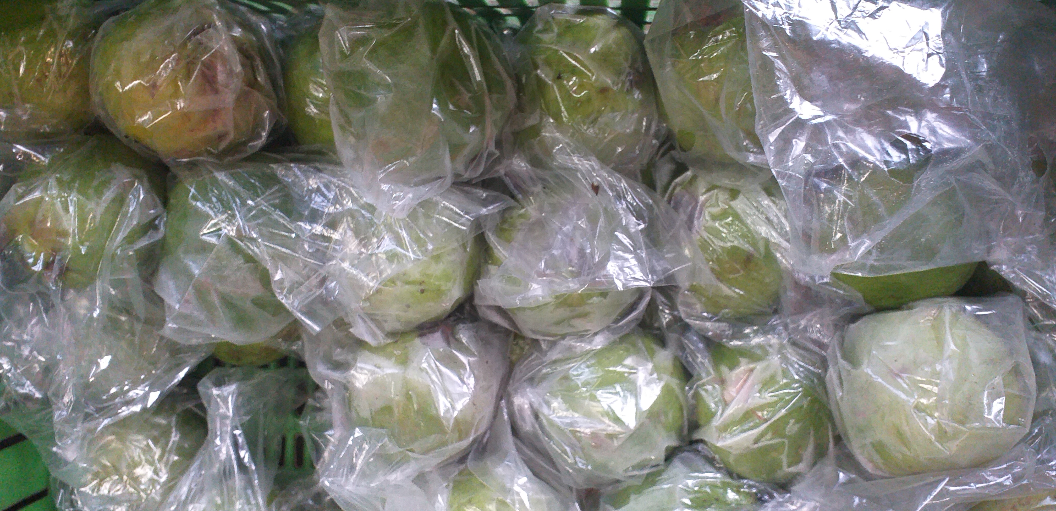 Guayaba manzana