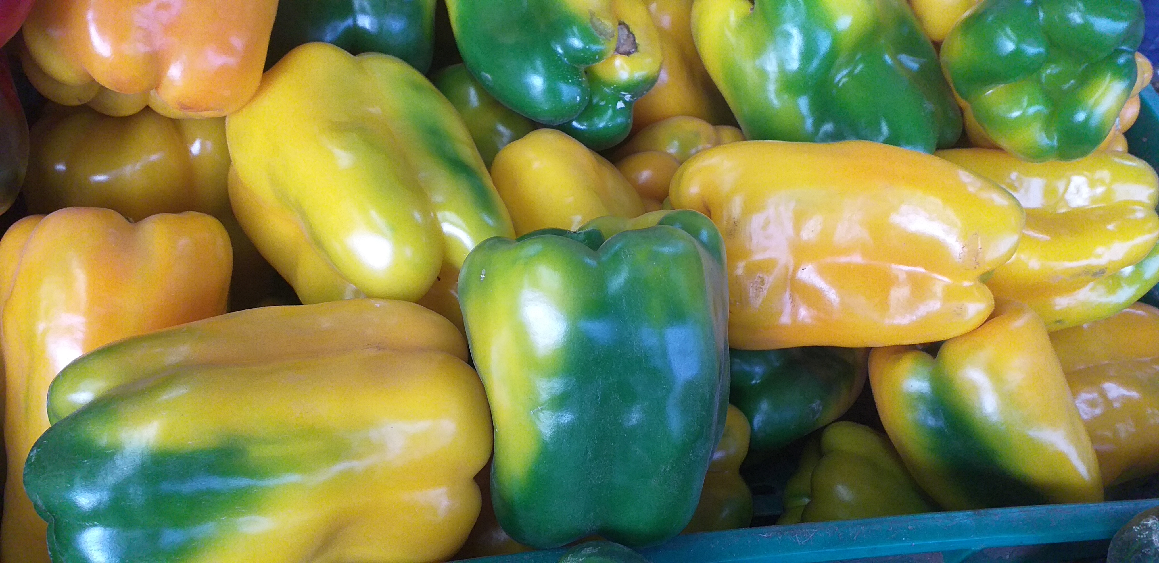 Pimenton amarillo