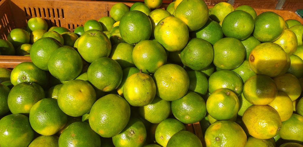 Naranja valencia de 2da