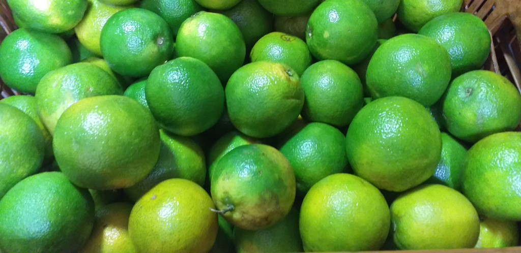 Naranja valencia de 1ra