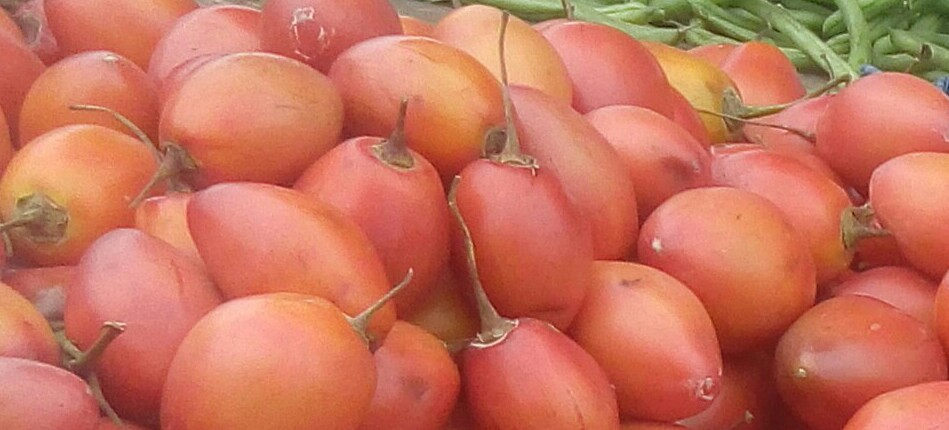 Tomate de arbol