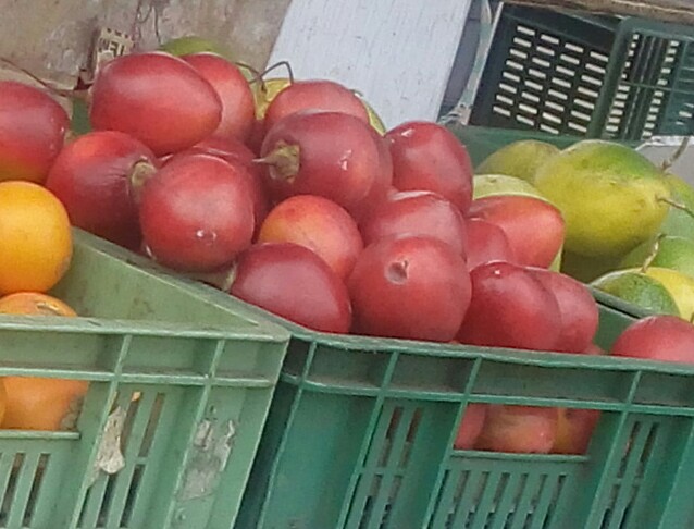 Tomate de arbol