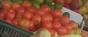 Tomate chonto