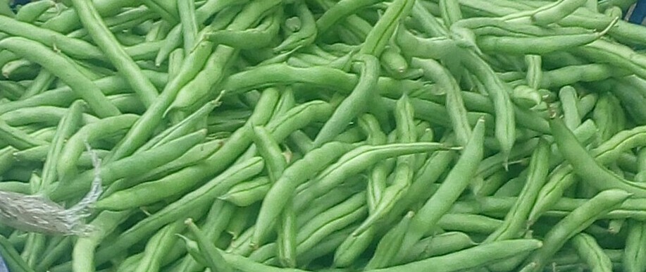 Habichuelas