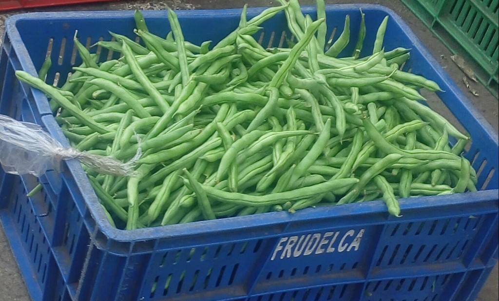 Habichuelas