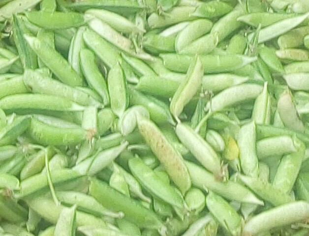 Arveja en cascara
