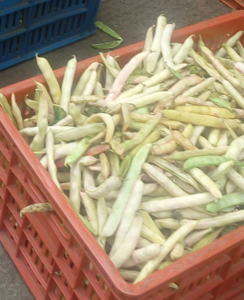 Frijol en cascara
