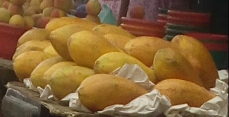 Papaya