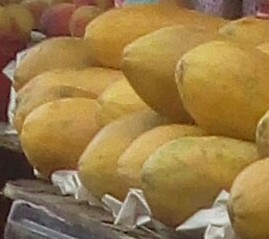 Papaya