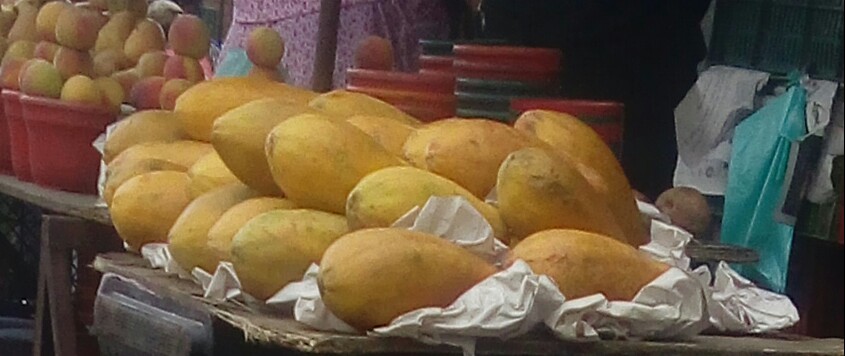 Papaya