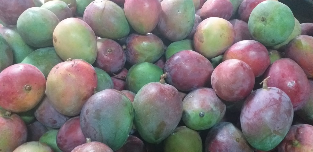 Mango farchi