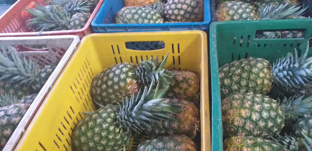 Piña oromiel