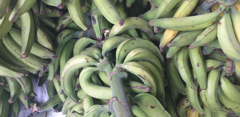Platano verde