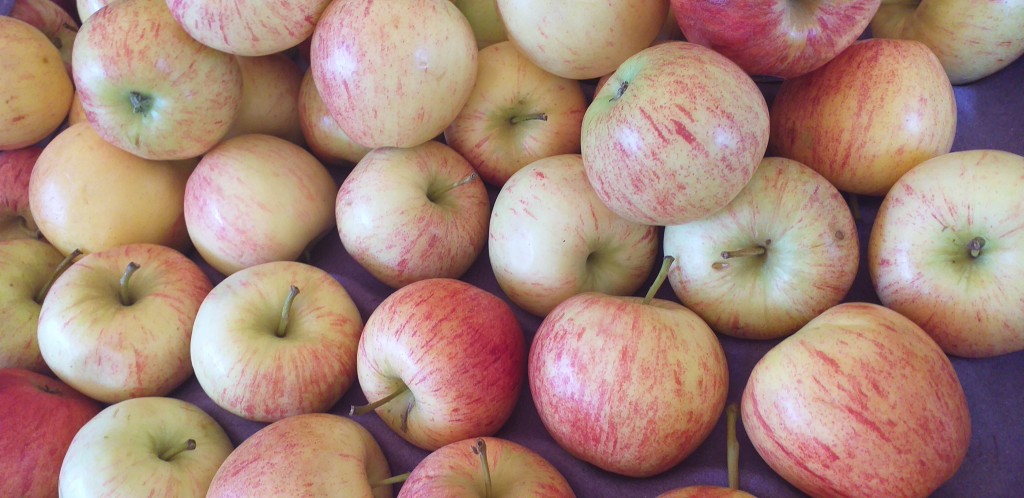Manzana roja delgada