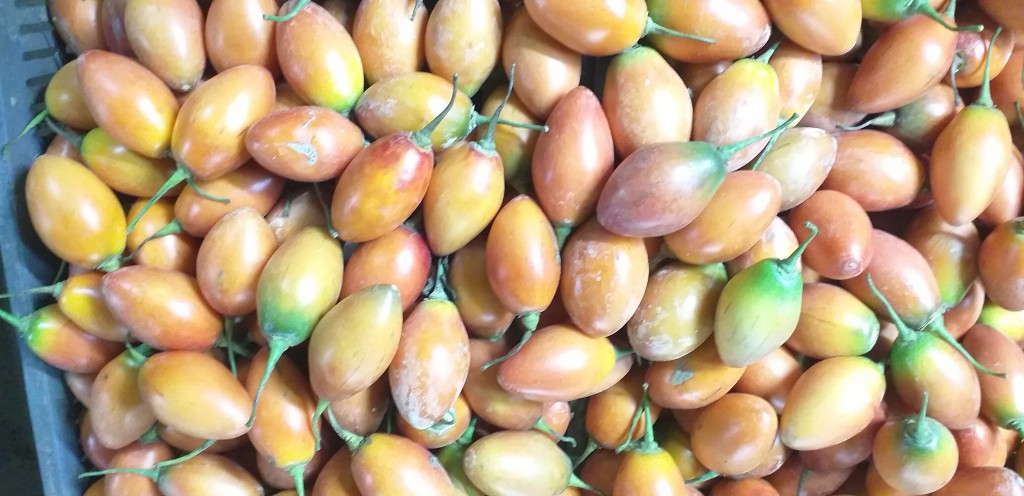 Tomate de arbol