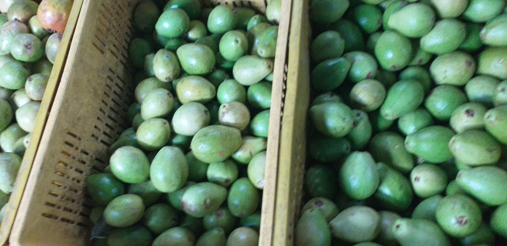 Guayaba pera