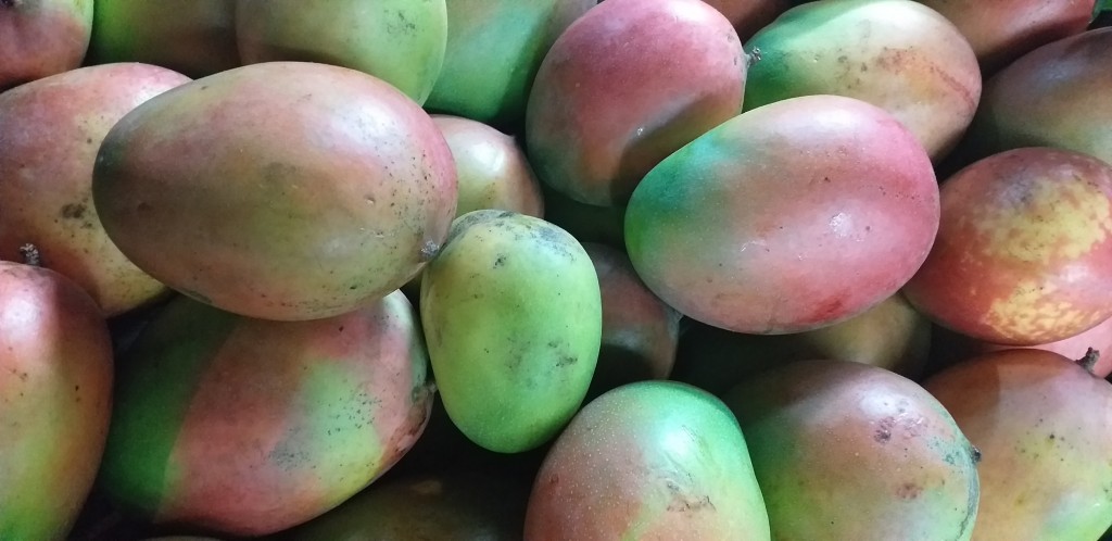 Mango farchi