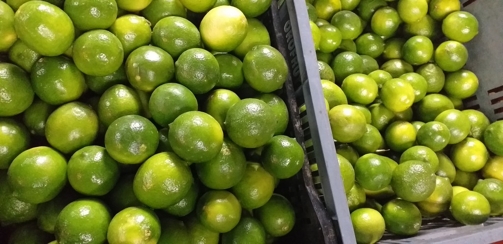 Limon tahiti