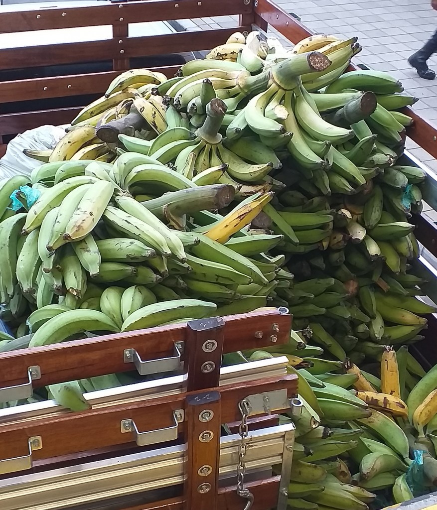 Platano verde