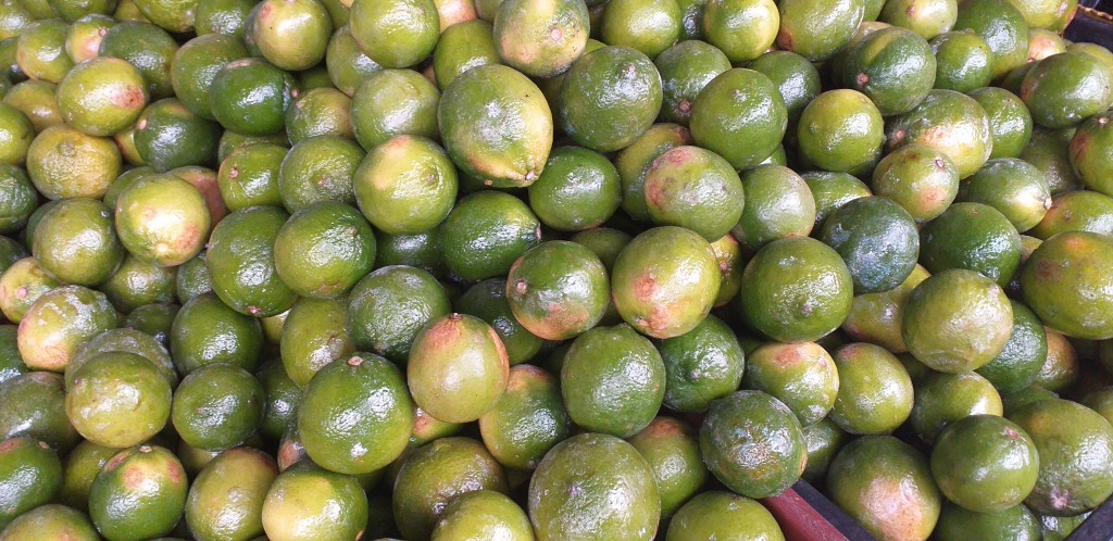 Limon mandarino