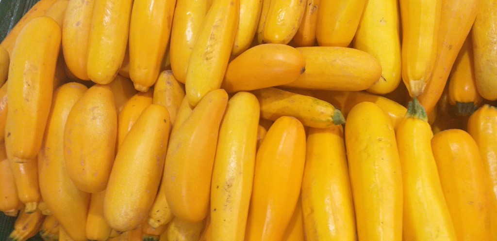 Zucchini amarillo