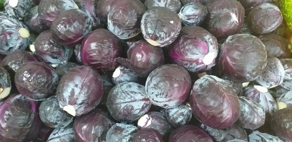 Repollo morado