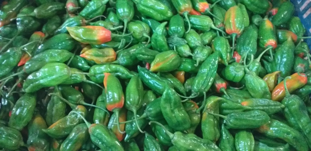 Aji dulce