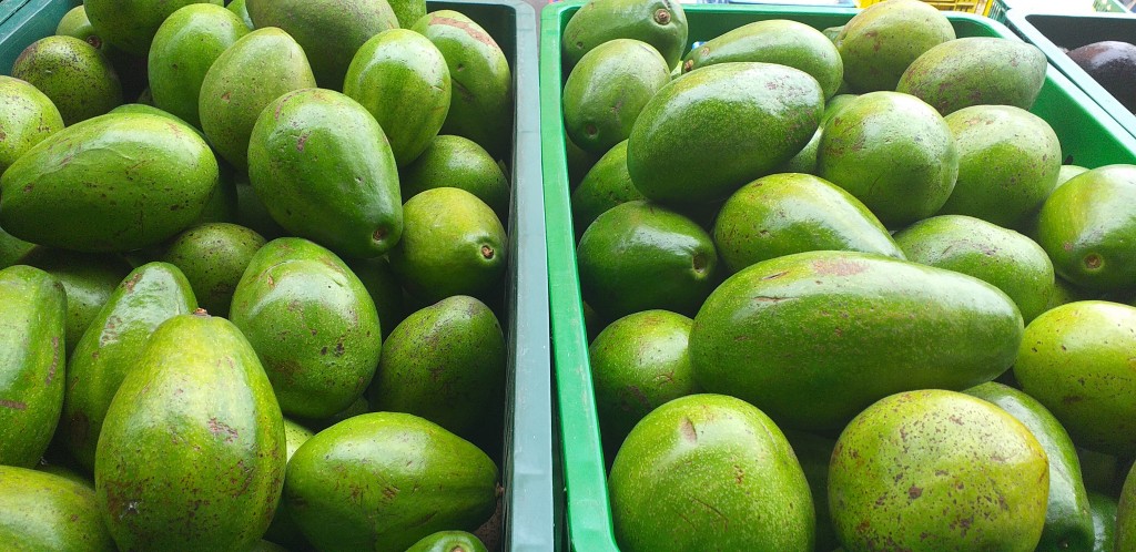 Aguacate papelillo