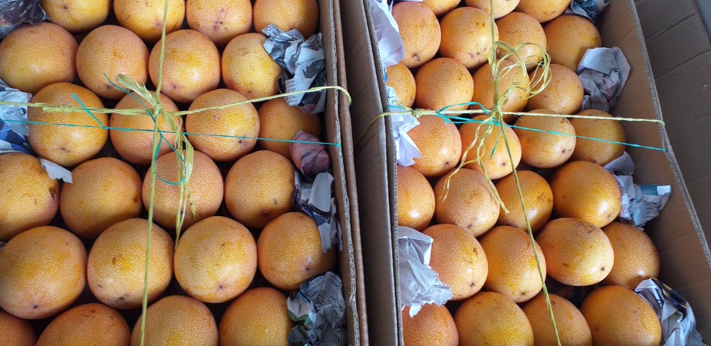Granadilla extra/14kg