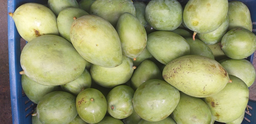 Mango filipino/80kg