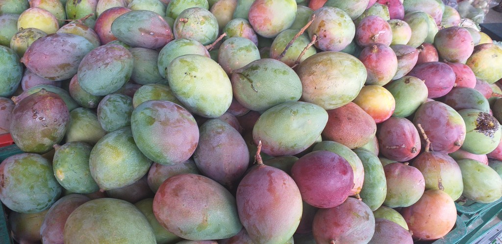 Mango farchi delgado
