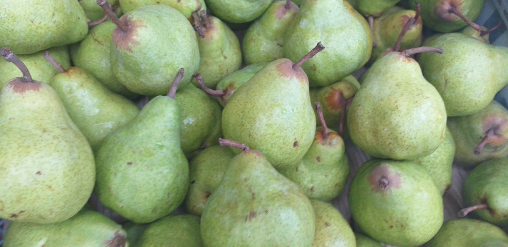 Pera gruesa