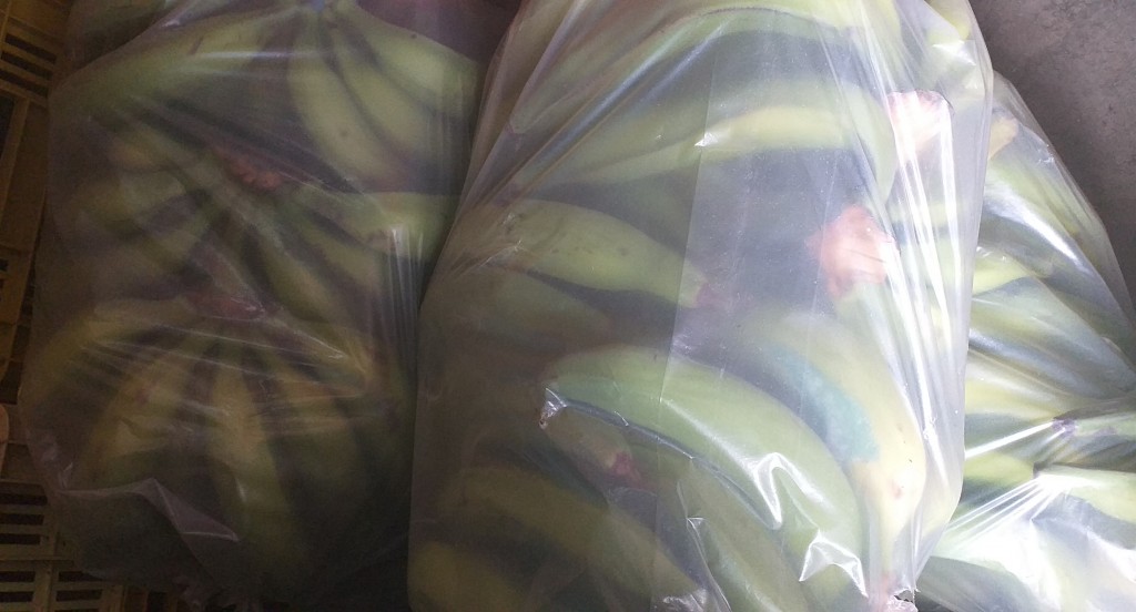 Platano verde