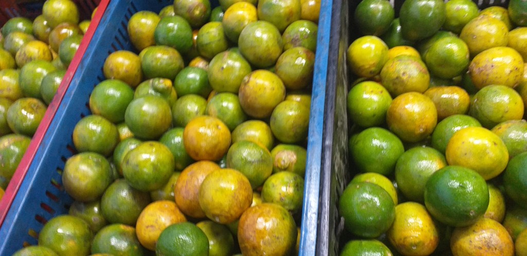 Naranja valencia de 2da