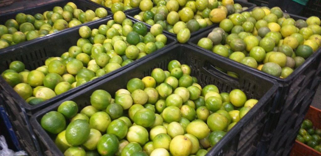Limon tahiti