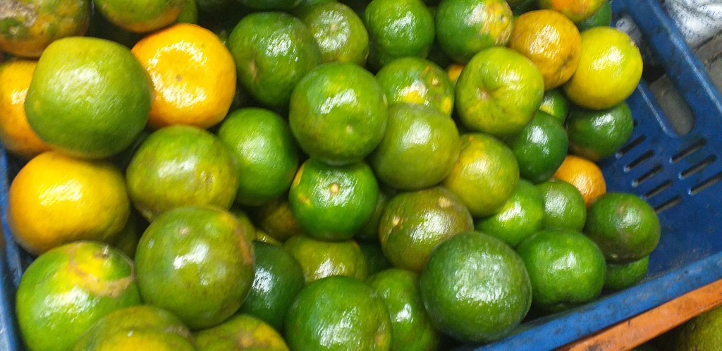 Naranja valencia