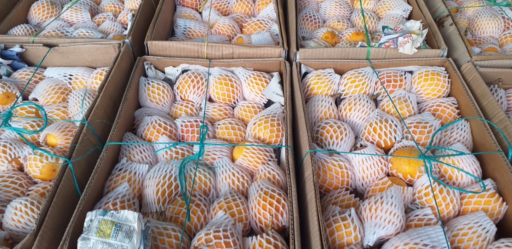 Granadilla extra/14 kg