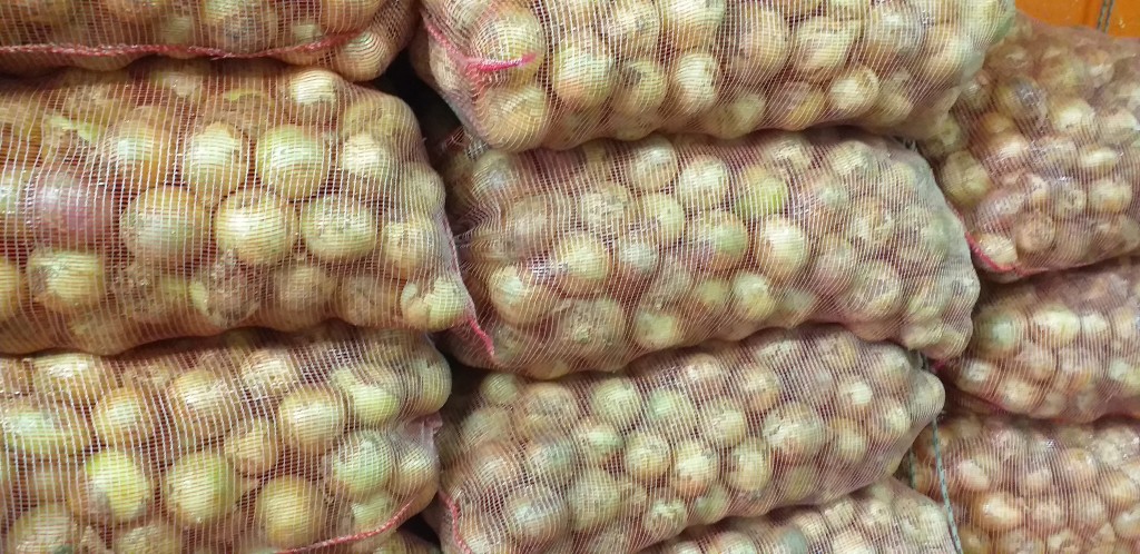 Cebolla blanca/48kg