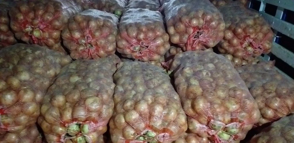 Cebolla blanca/50kg