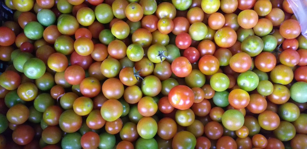 Tomate cherry