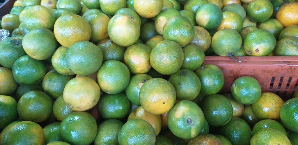 Naranja valencia