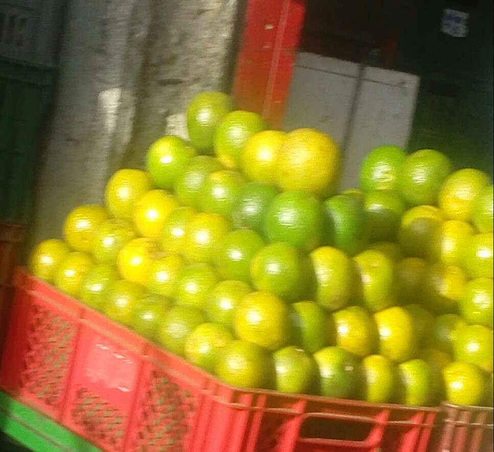 Naranja comun