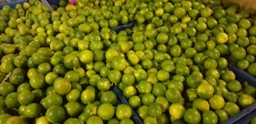 Limon criollo