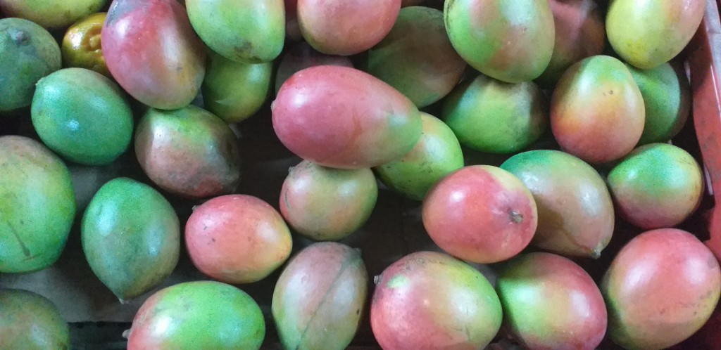 Mango farchi