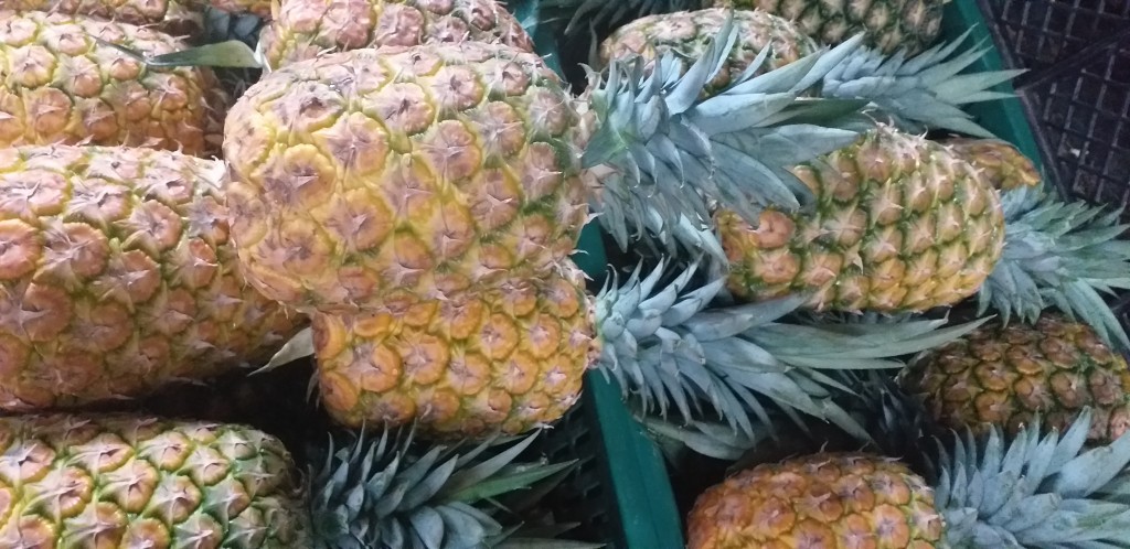 Piña oromiel