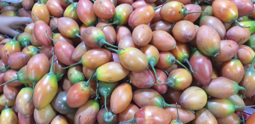 Tomate arbol de 2da