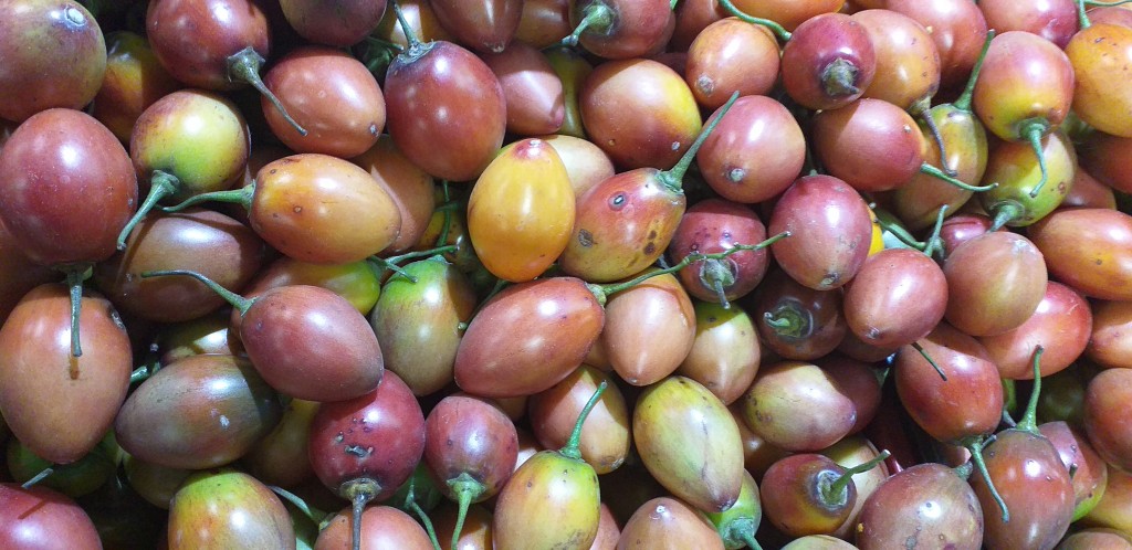 Tomate de arbol