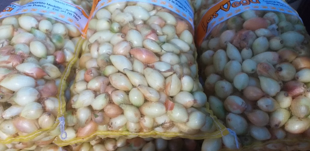 Cebolla blanca selecta/20kg