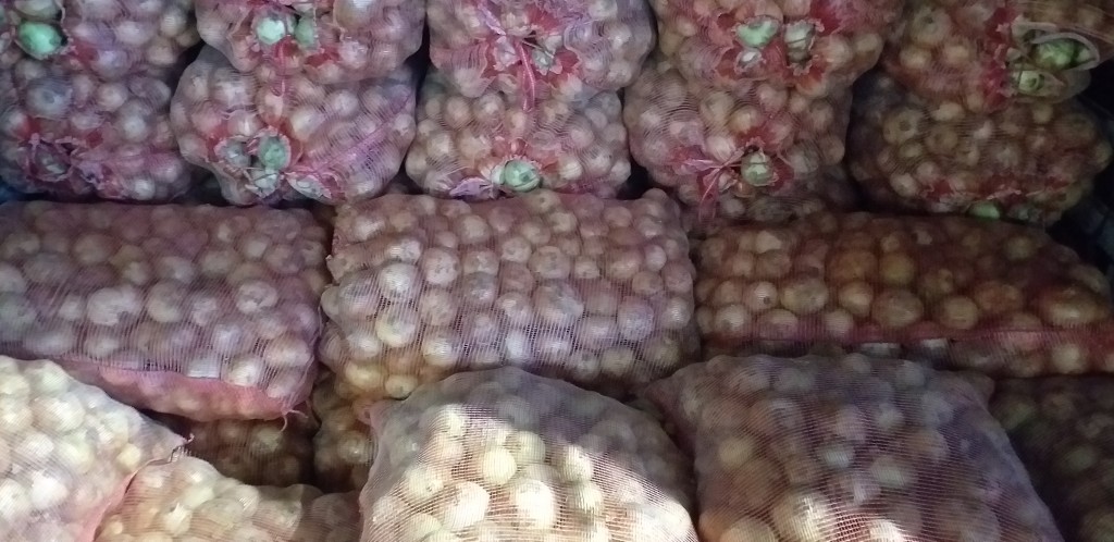Cebolla blanca gruesa/50kg